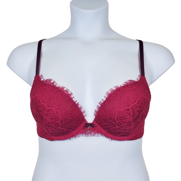 Victoria's Secret Other - Victoria's Secret Berry Lace Dream Angels Push Up Bra Size 34C